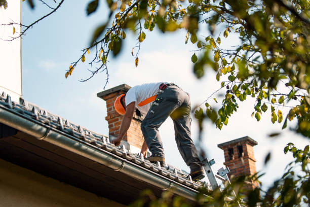 Best Sealant for Roof  in Woodside, CA